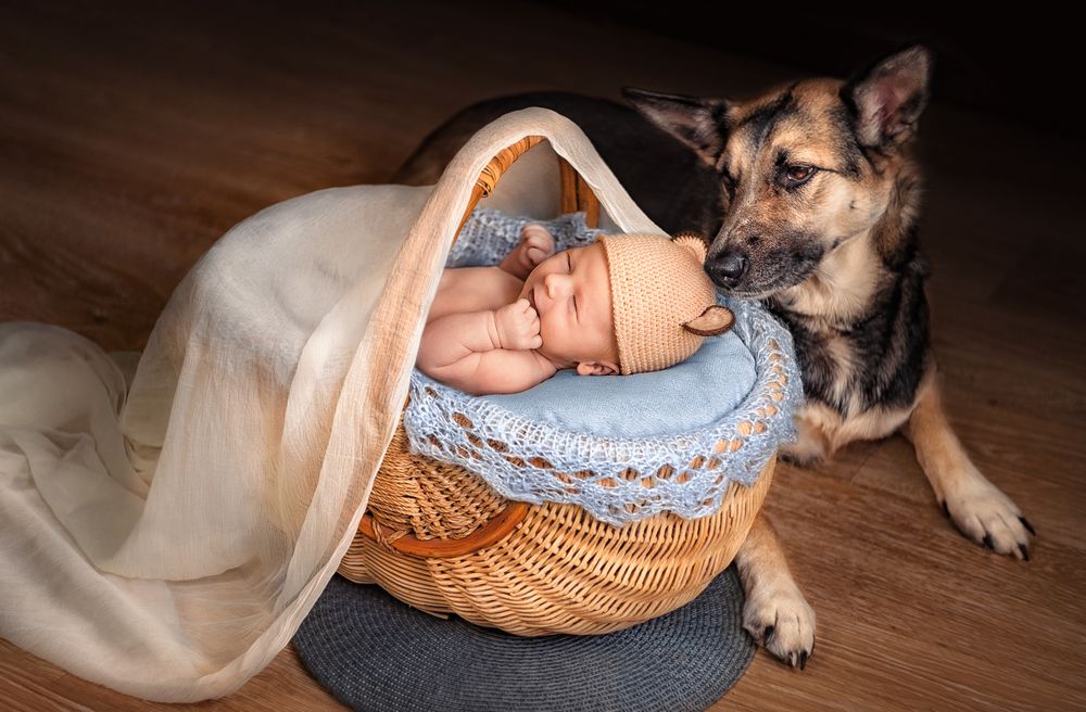 Знакомство