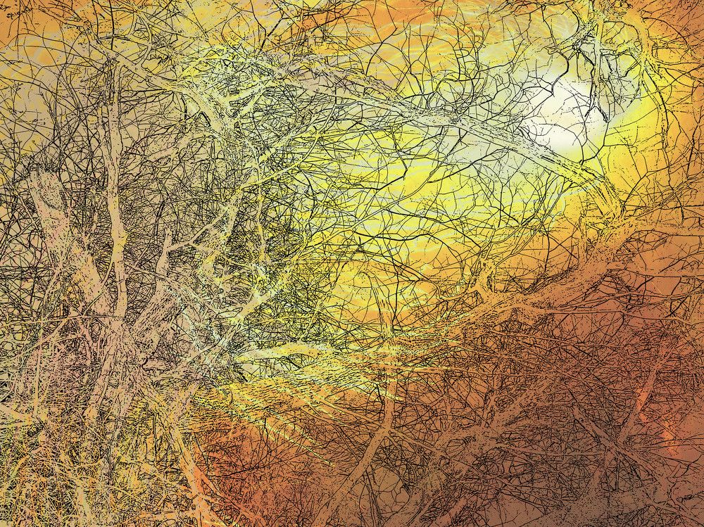 Солнце Востока