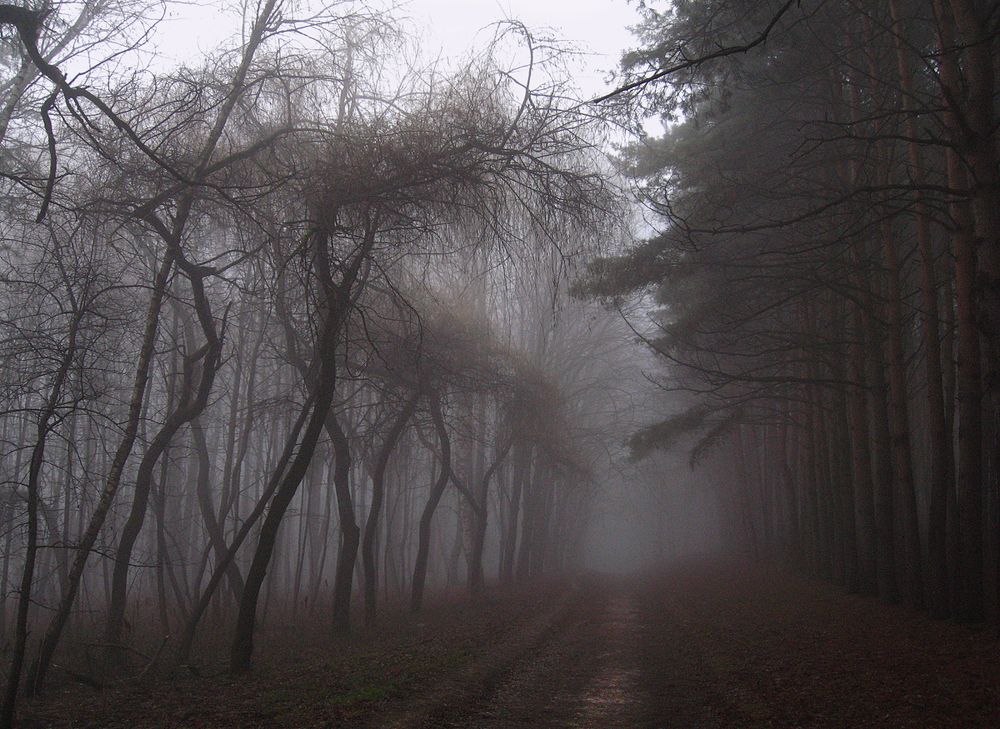 Старый парк