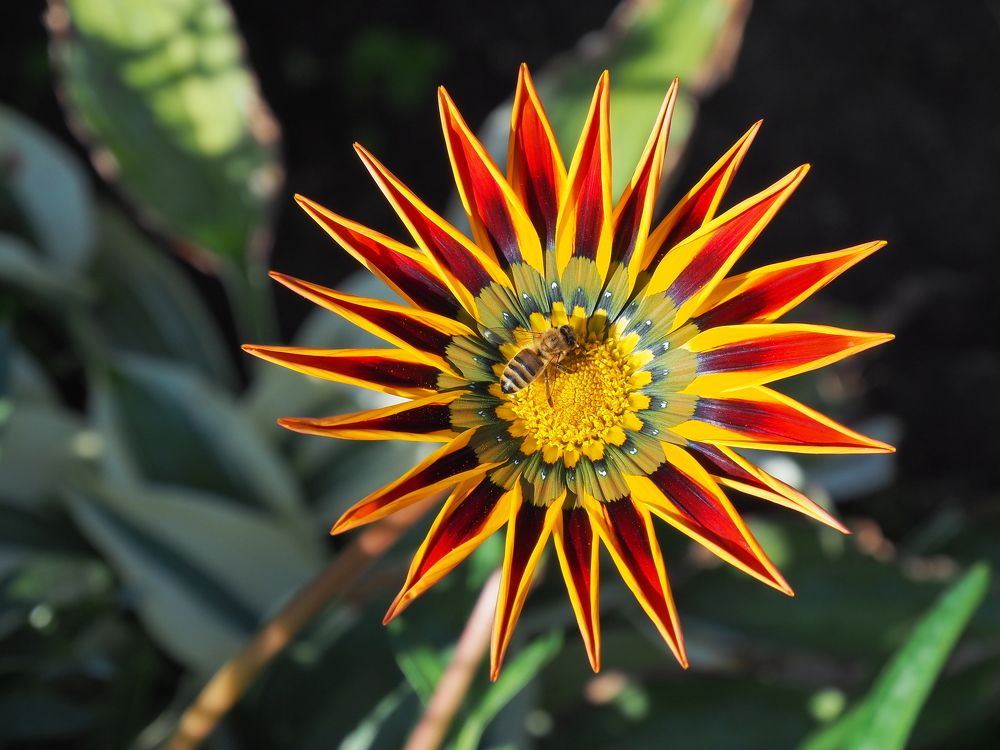 Photograph by Александр Баран