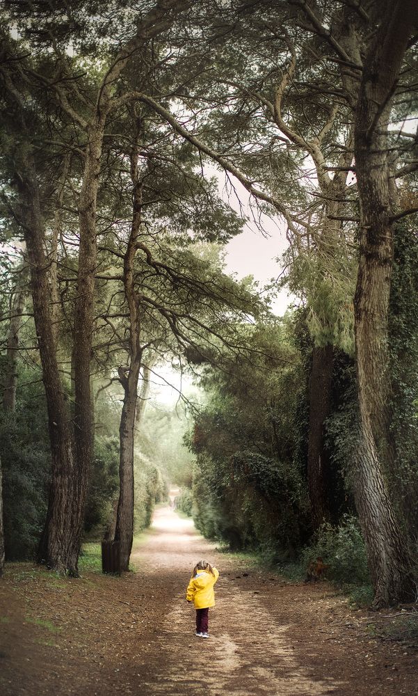 Когда деревья были большими