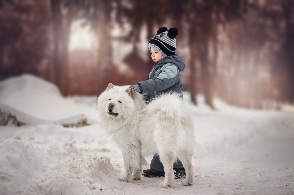 Фотография автора Наталия Назарова