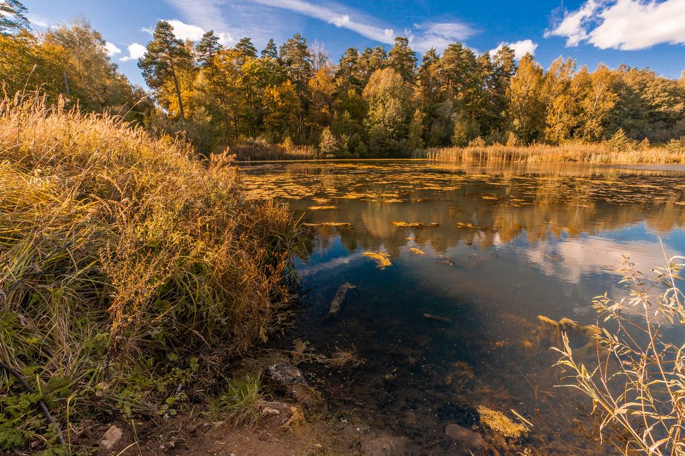 Осень наступает