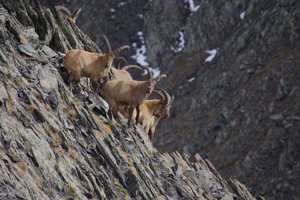 Любопытные туры