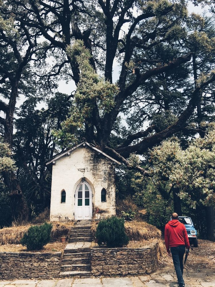 binsar