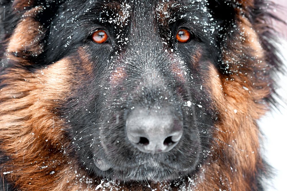 Photograph by Александр Кобелюк