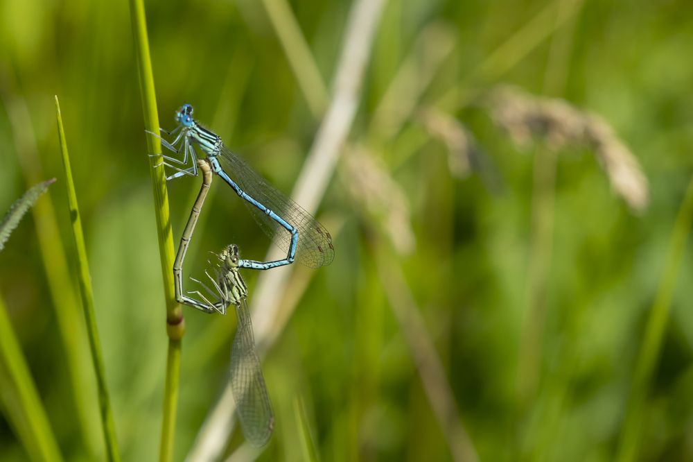 продолжение