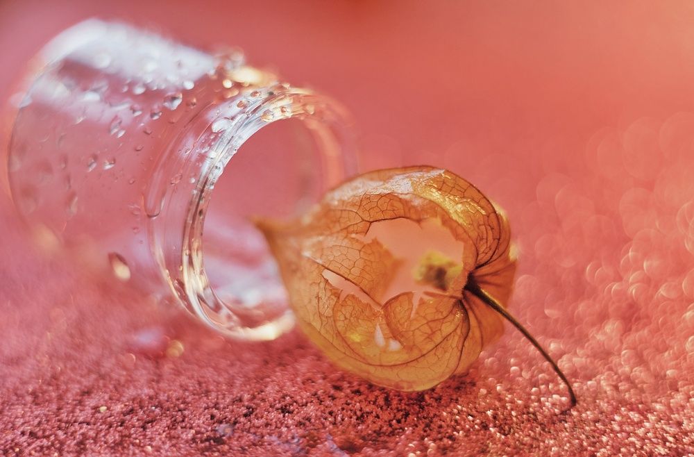 Милый физалис