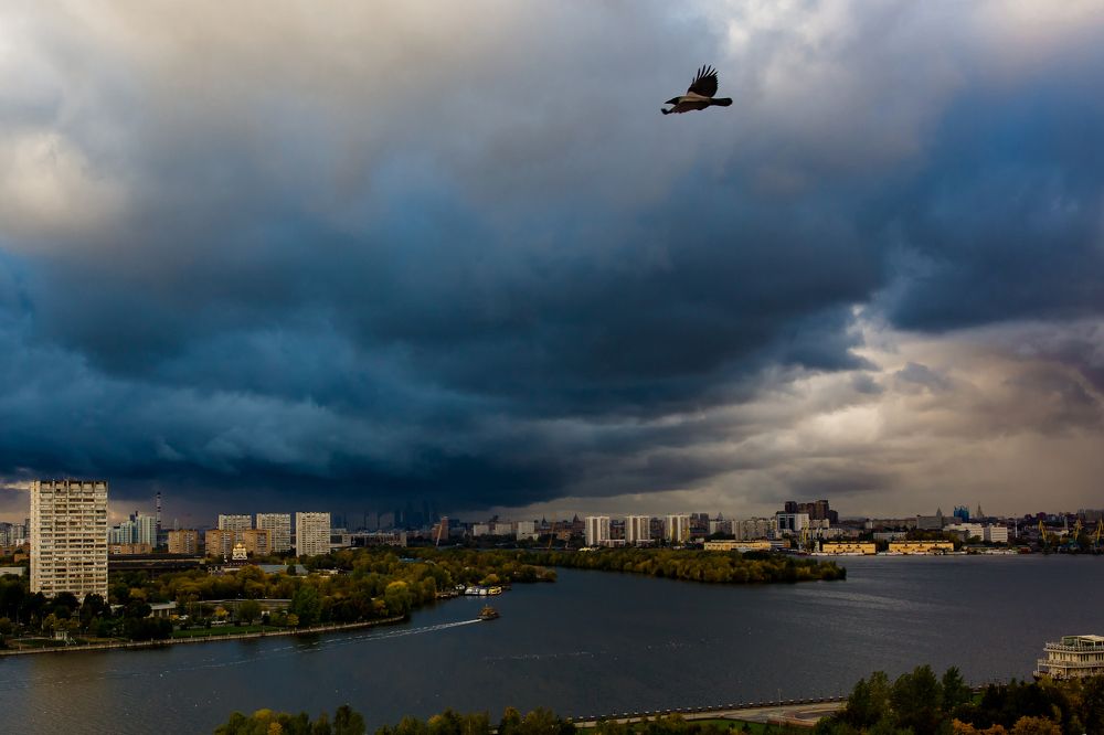Гордо реет, чёрной молнии подобна.