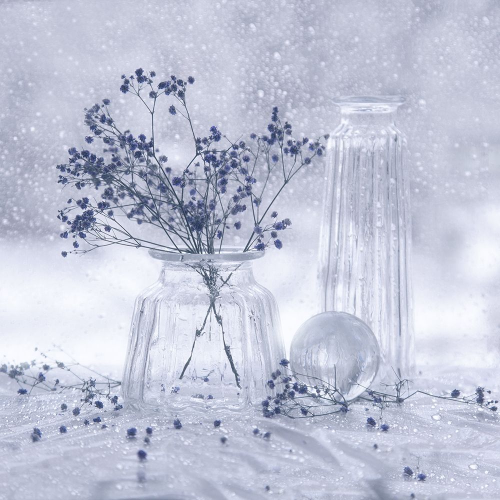 А снежинок стая все в окно стучится...