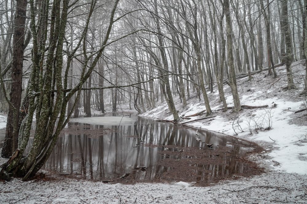 Photograph by Вадим К