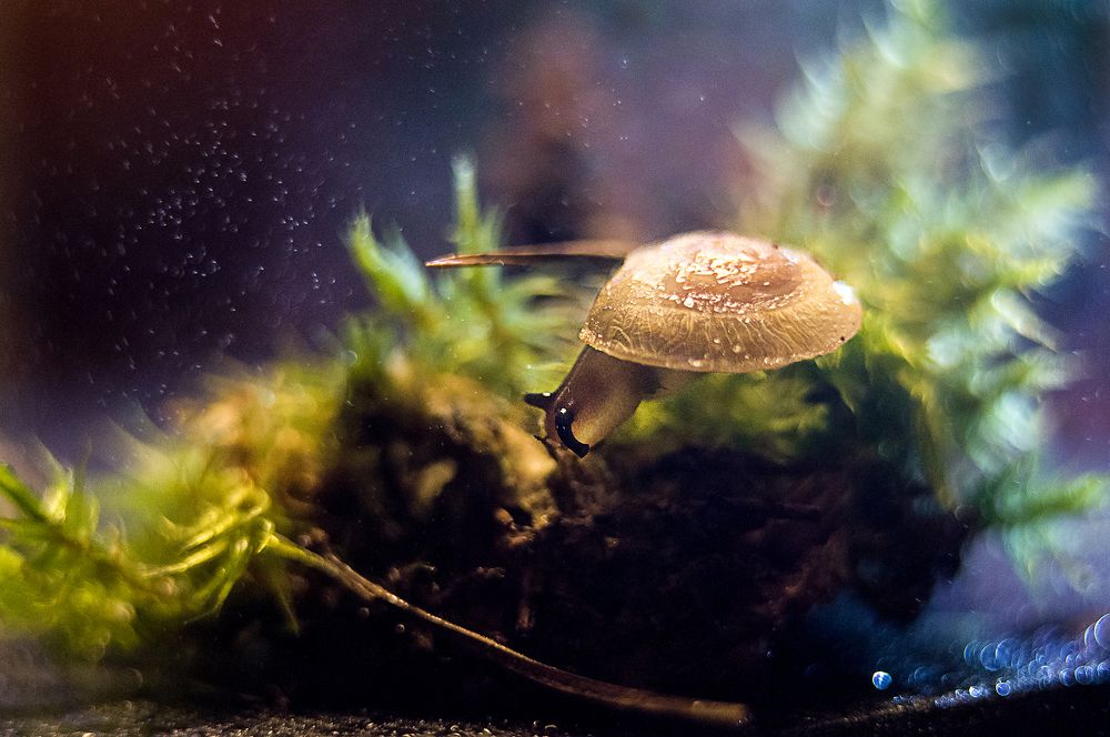 Photograph by Марианна Бельчикова