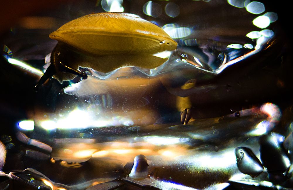 Photograph by Марианна Бельчикова