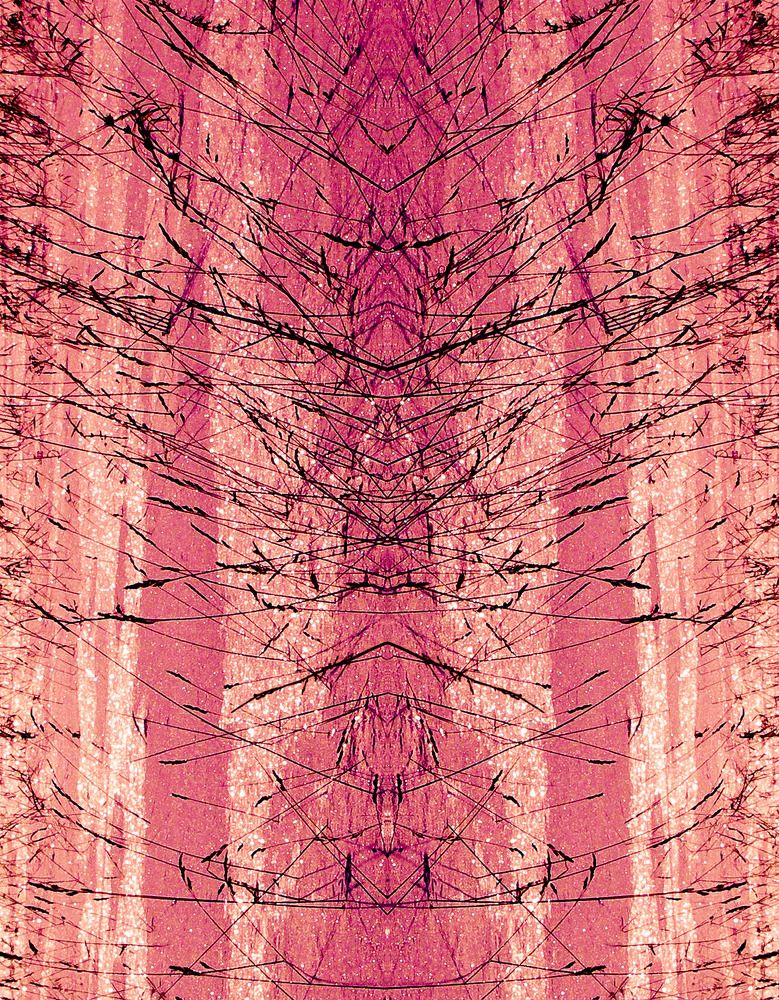 Стрела Зенона