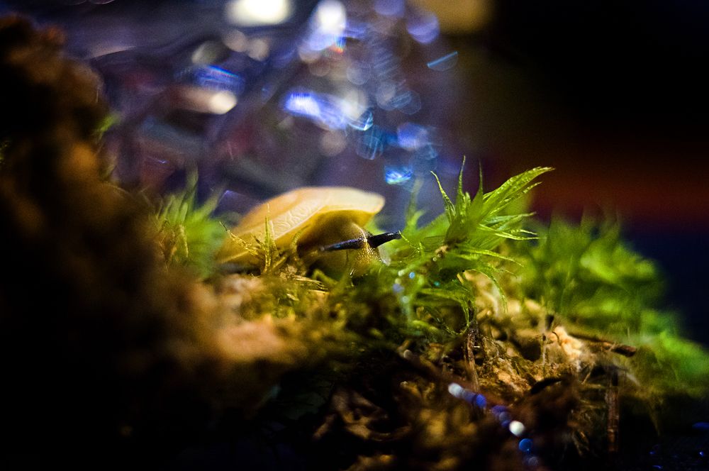 Photograph by Марианна Бельчикова