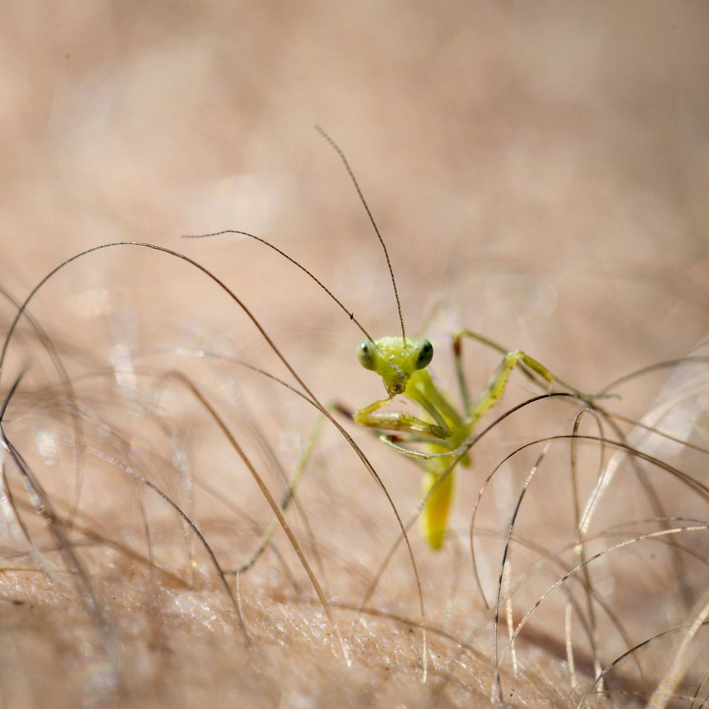 Photograph by Андрей Плужаров