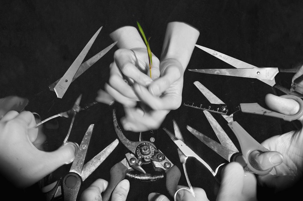 Добро пожаловать!/Welcome!