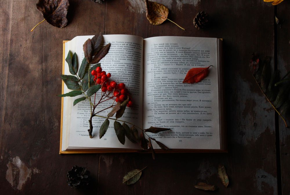 Photograph by Мария Бузыцкая