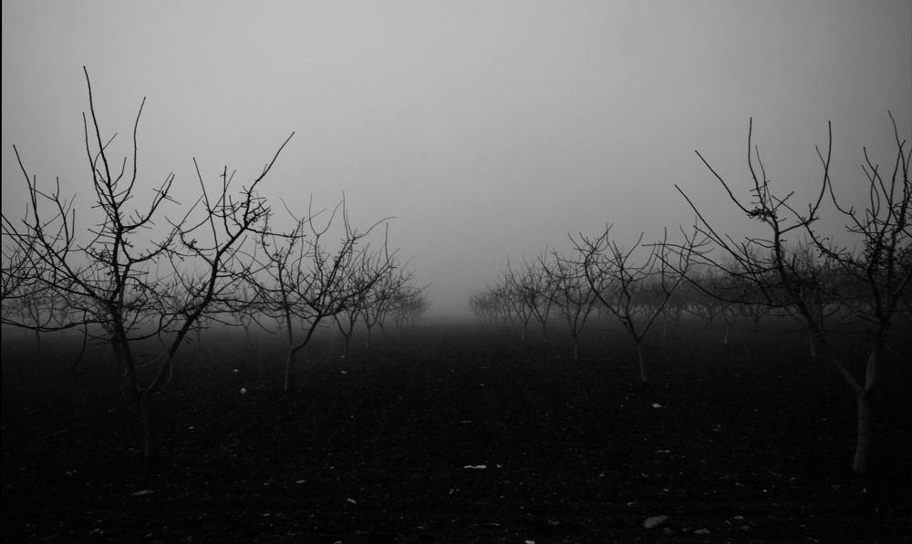 There's only one road