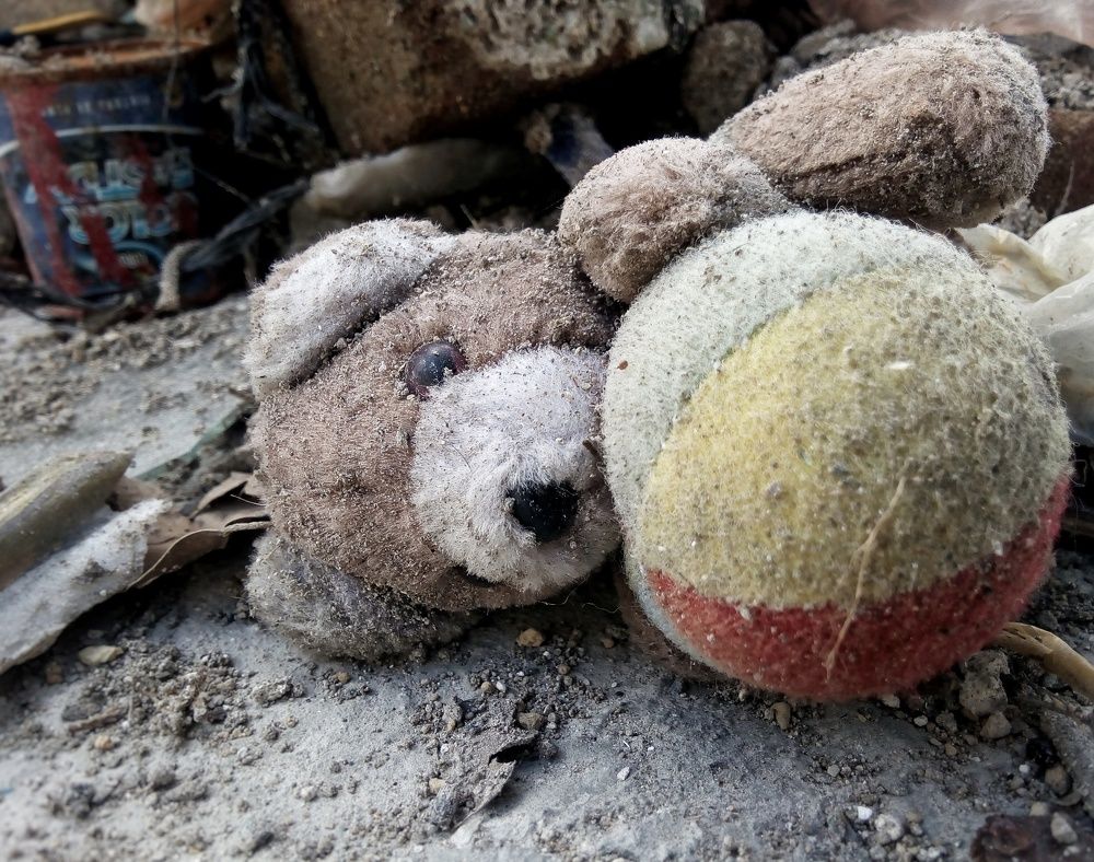 Tú eres mi amigo fiel.