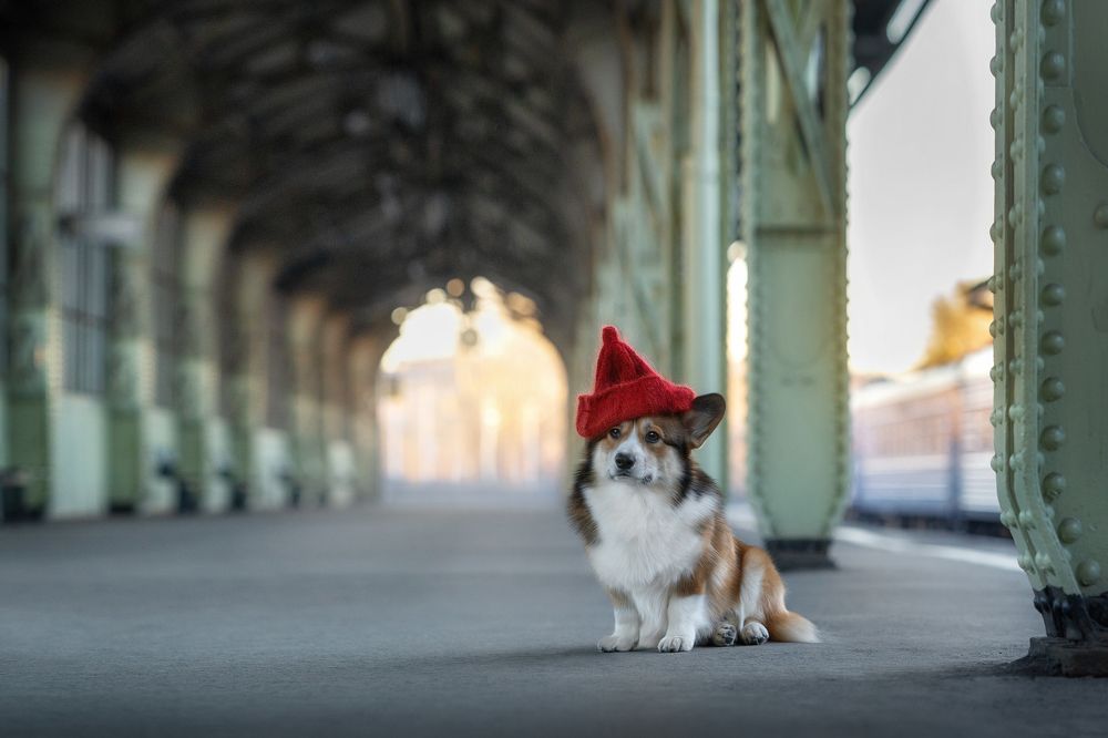 Прощальная...