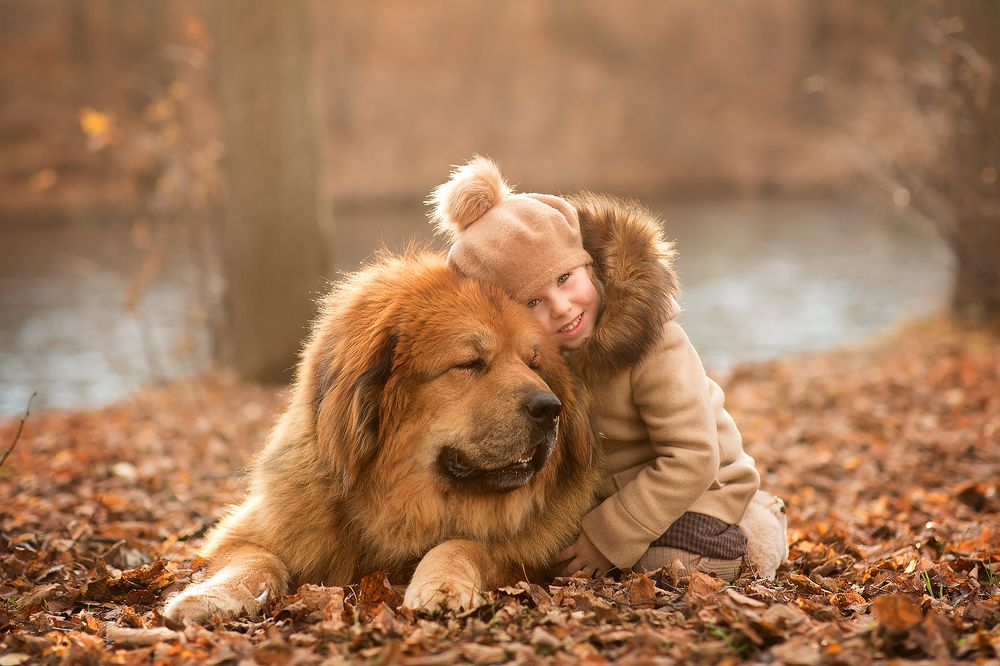 верный друг