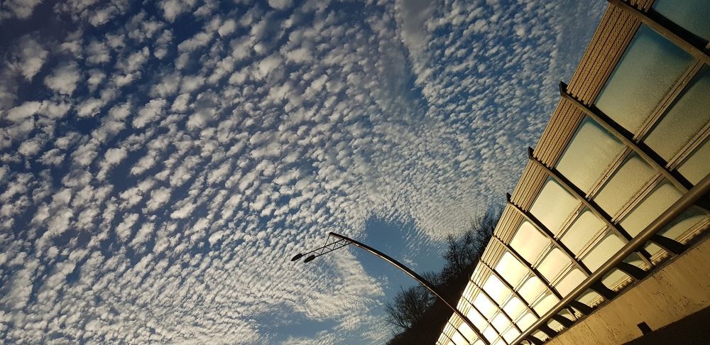 Навстречу новому дню