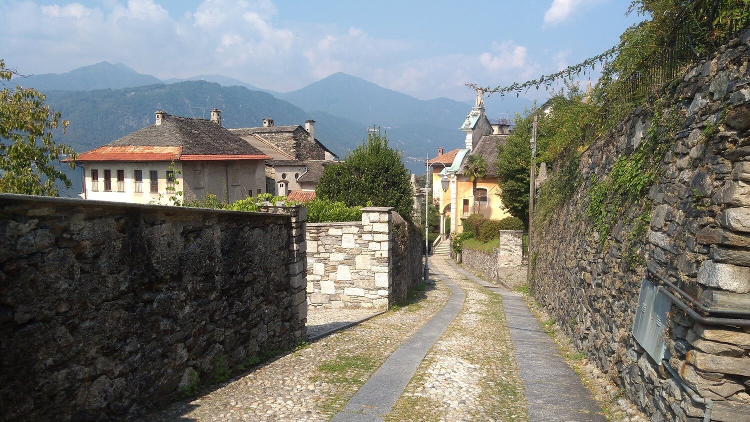 Photo #2999008