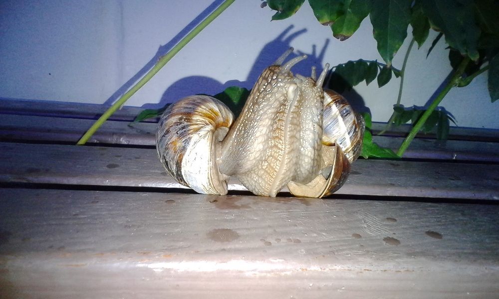 Везде любовь!