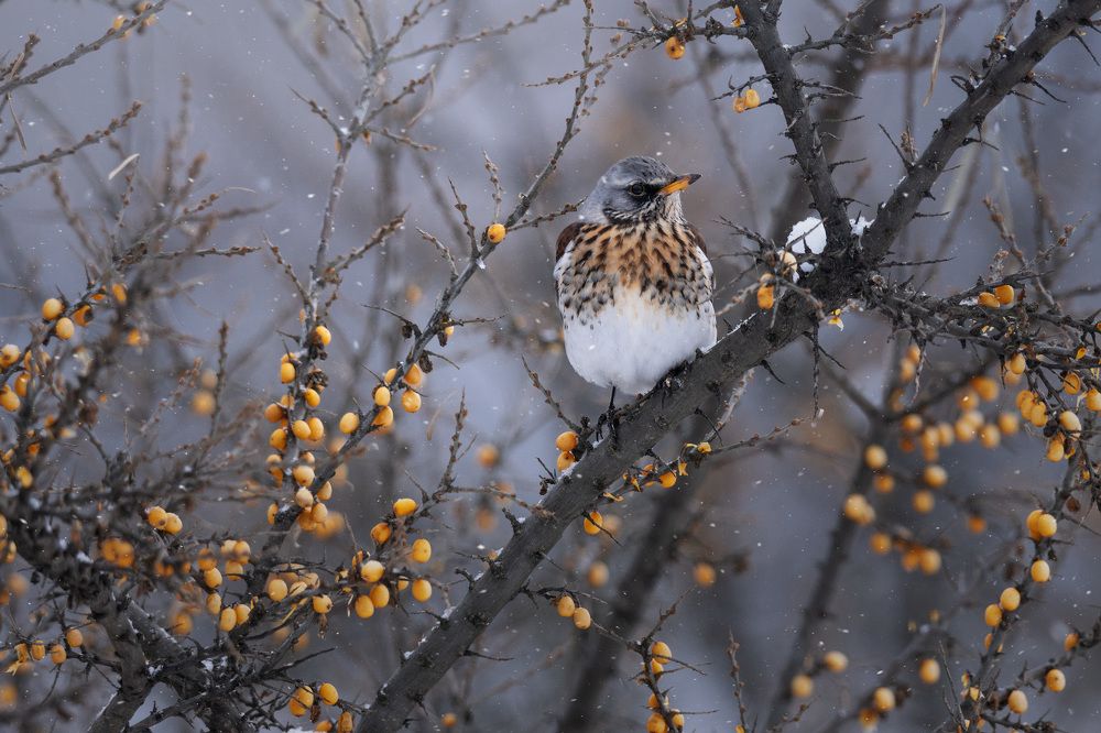 Evening close, and I did not eat