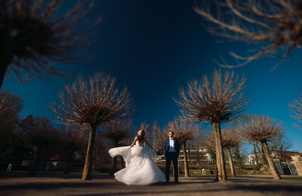 Одуванчики