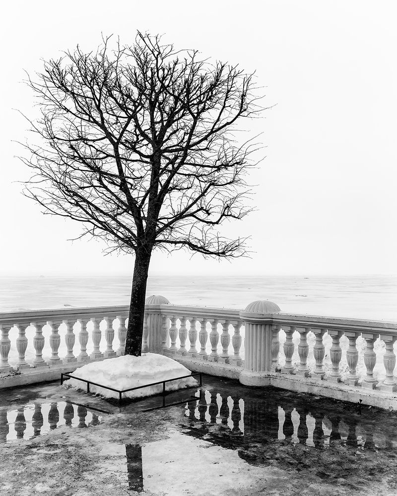 В ожидании весны