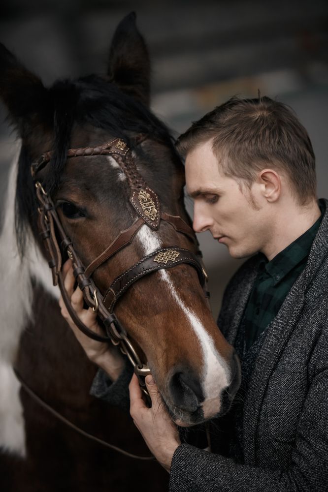 Боевой конь