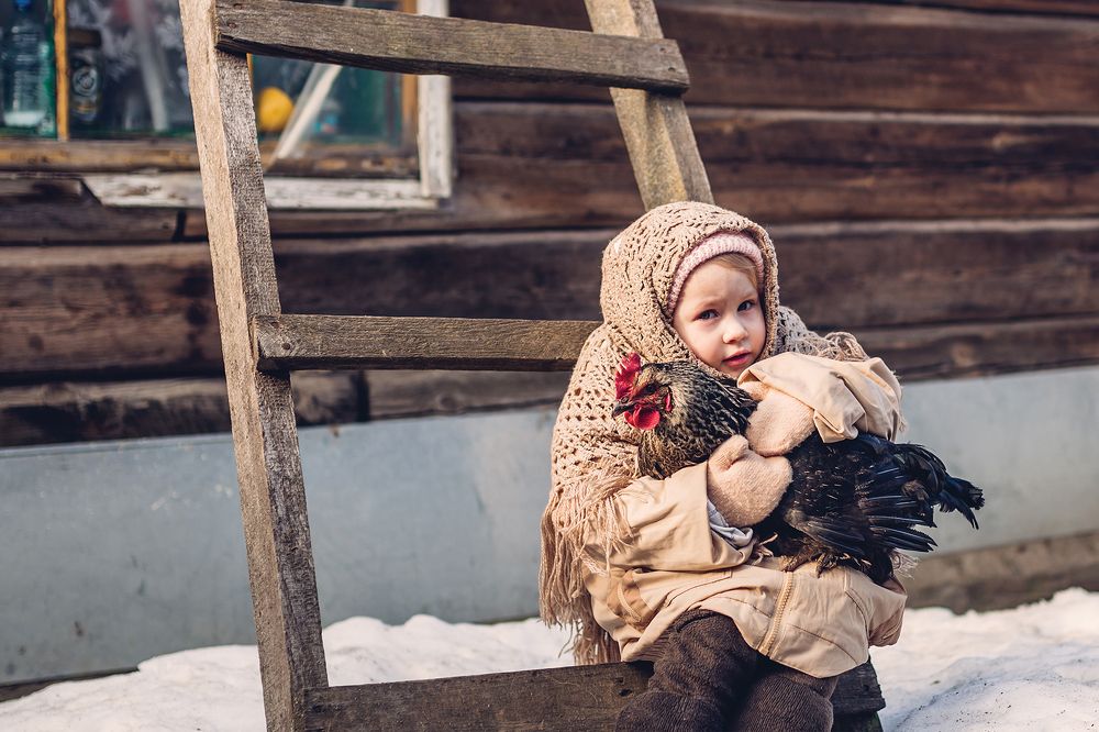 Зимой в деревне