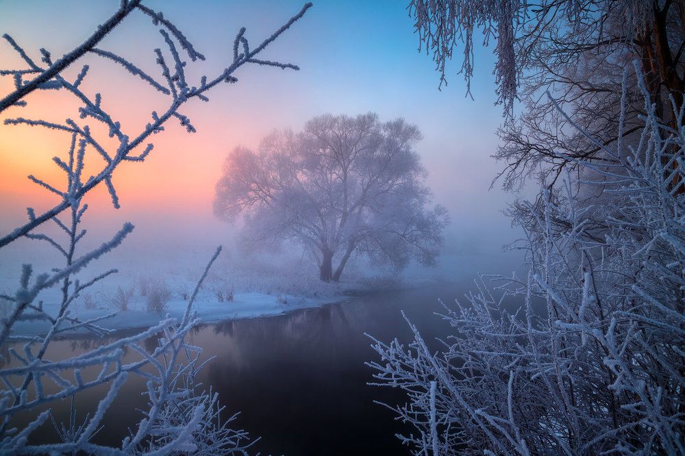 В рамках зимы