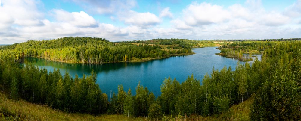 Природа залечивает раны