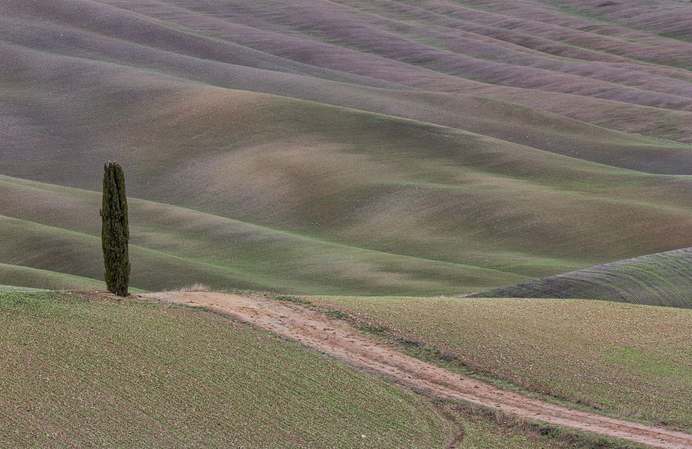 Тосканские холмы