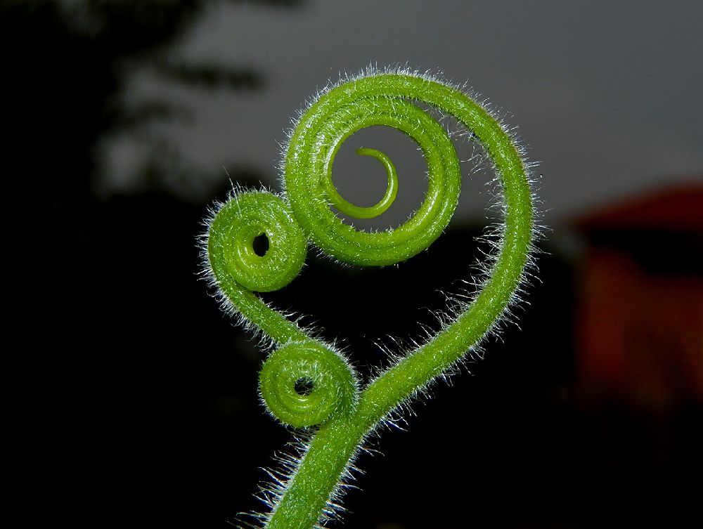 More love in the word.