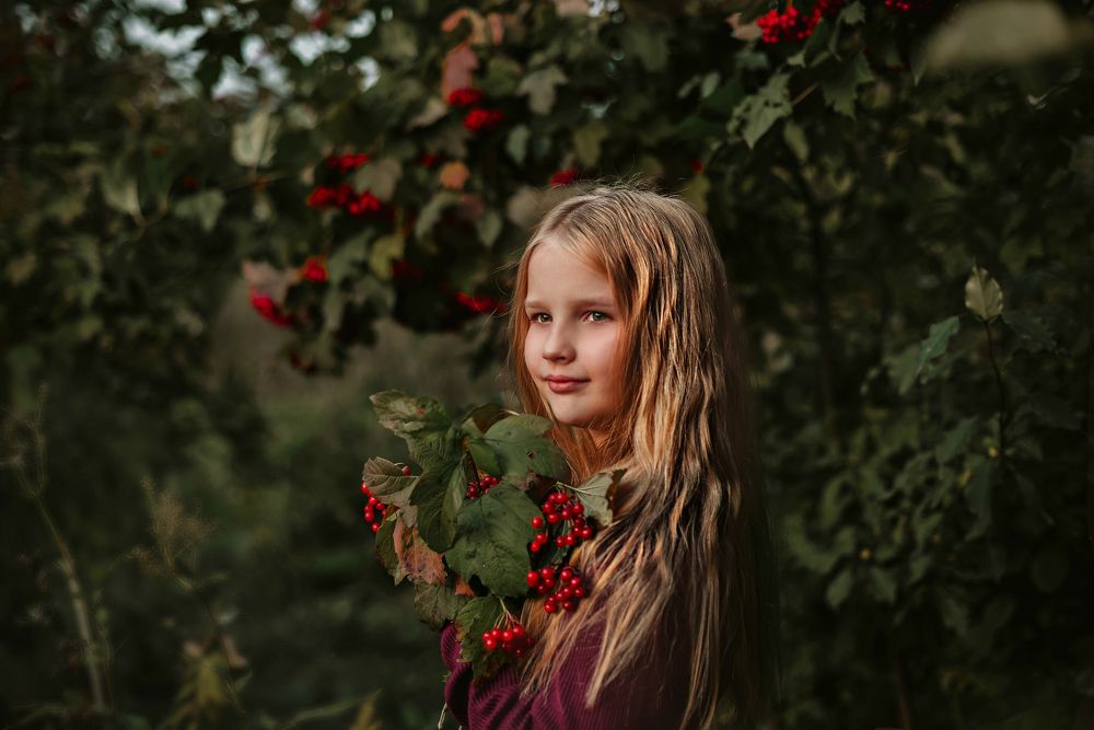 Калина красная