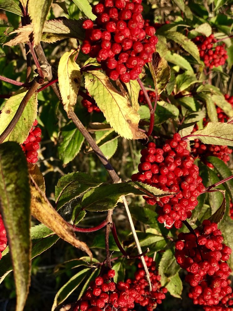 Photograph by Максим Воробьев