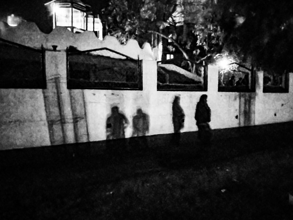 || TRIO- II ||