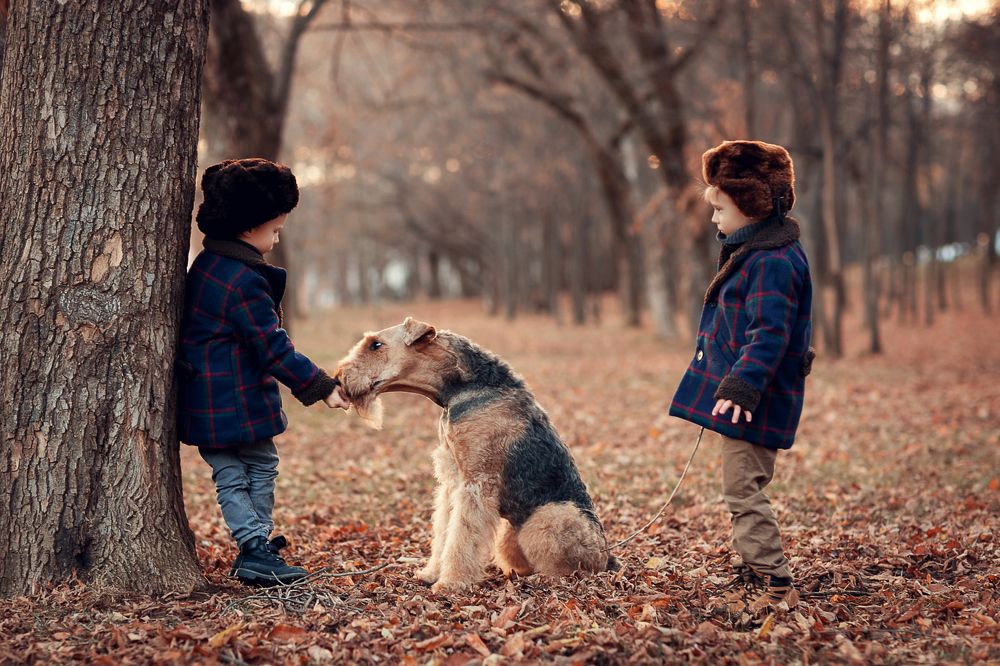 Приключения Электроников