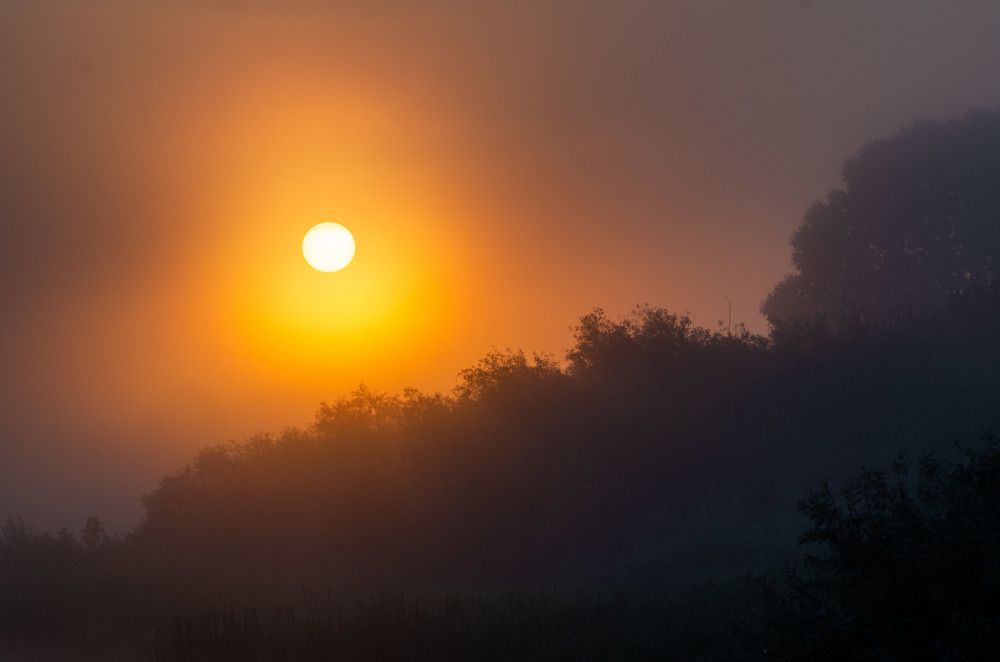 Photograph by Евгений Новицкий