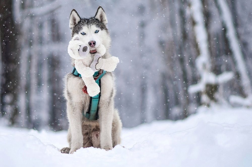 Фотография автора Мария Яропольская
