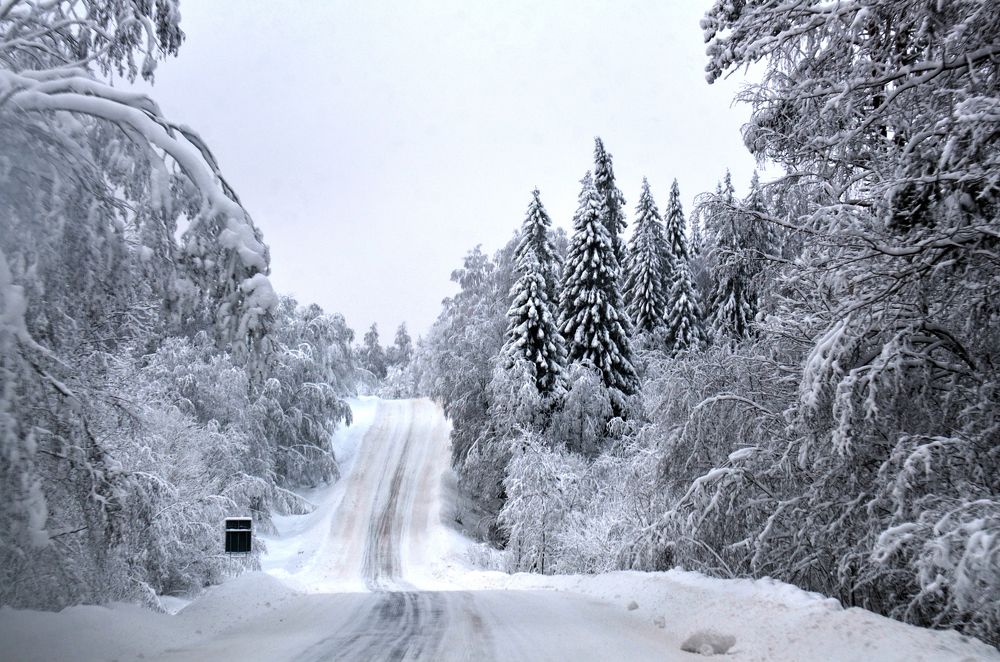 Зимняя дорога