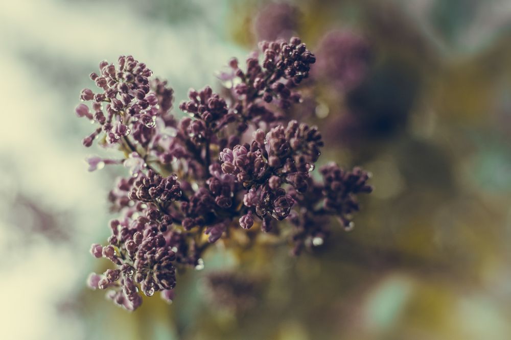 После дождя