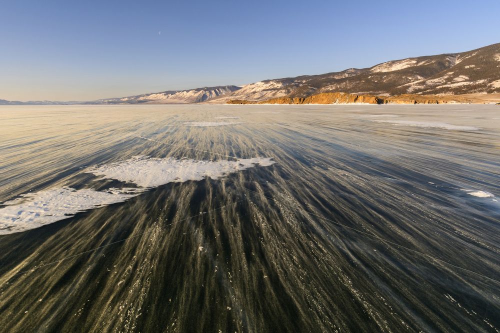 Золотая поземка