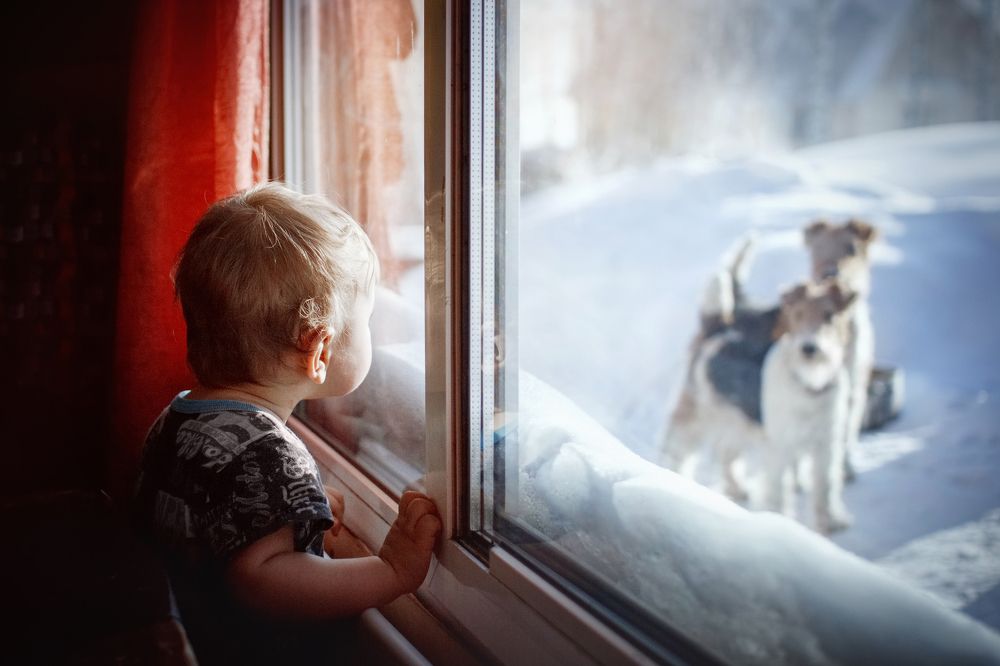 Выходи гулять!