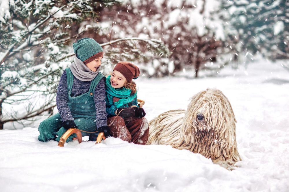 Собака швабра