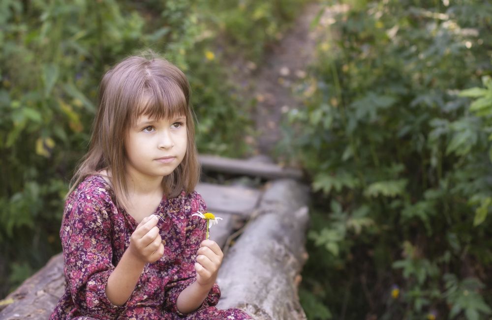 Guessing on the Daisy